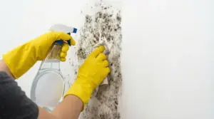 Persona con guanti gialli pulisce muffa da una parete con spray e panno