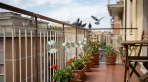 CD appesi a un balcone con vasi di fiori per allontanare i piccioni